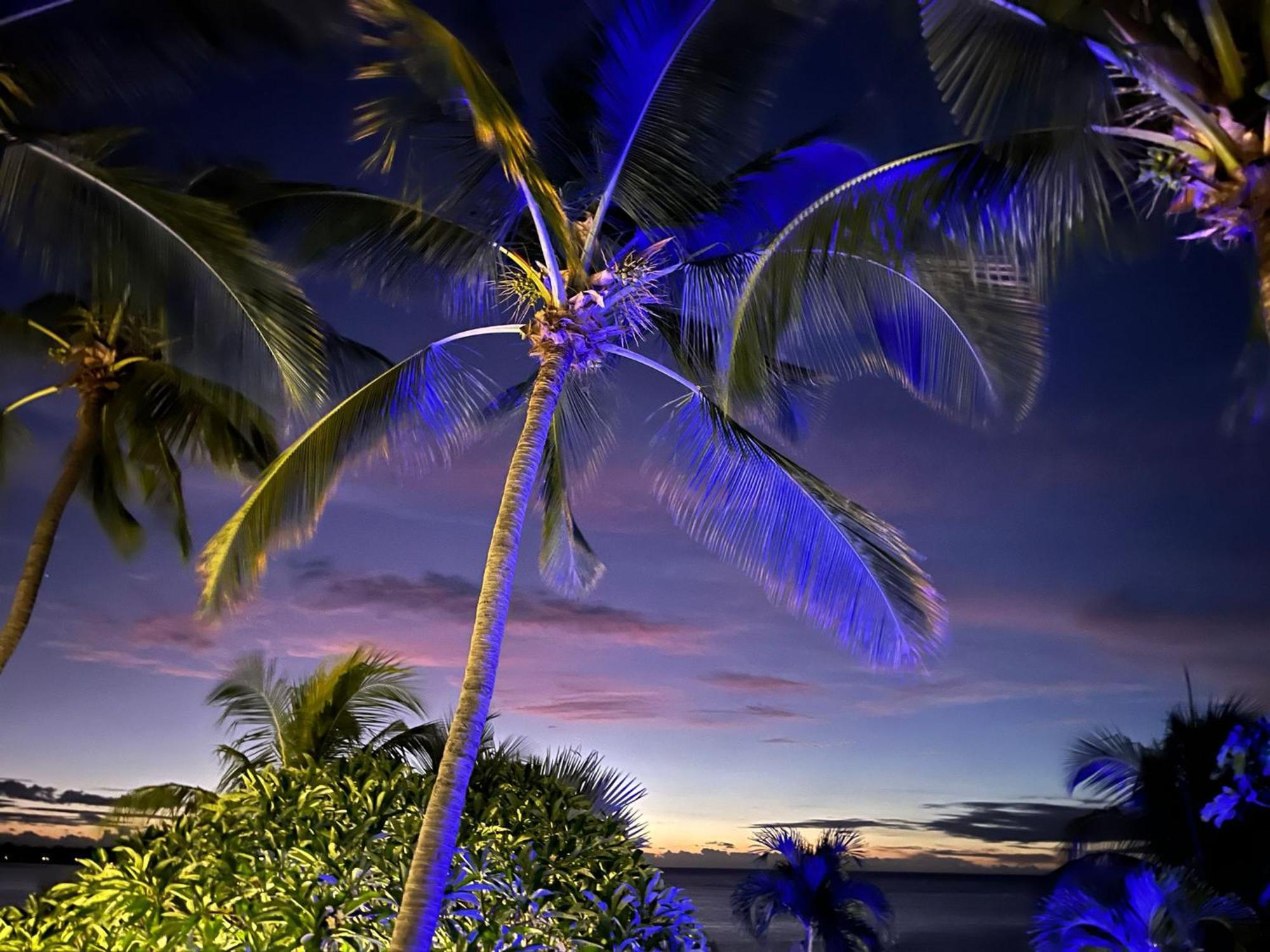 La Maison De La Plage - Guest House 阿尔比恩 外观 照片